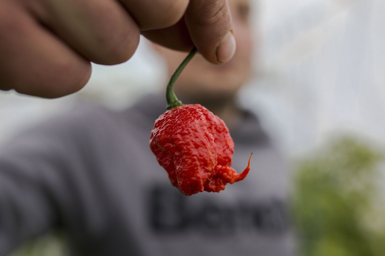 Paqui 'One Chip Challenge' pulled from shelves after teen's death
