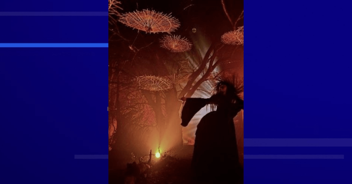 'Dark Forest' at Powell Gardens in KC starts this weekend