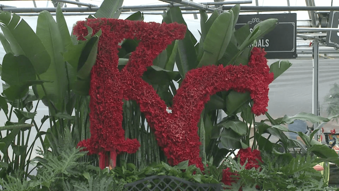 KC area businesses create multiple Chiefs-themed activities